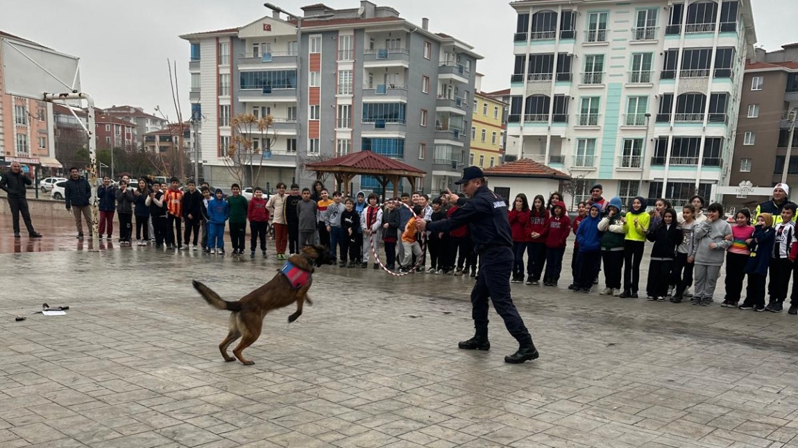 Çorum İl Jandarma Ekiplerinin Eğitimleri ve Köpek Eğitimi Gösterisi